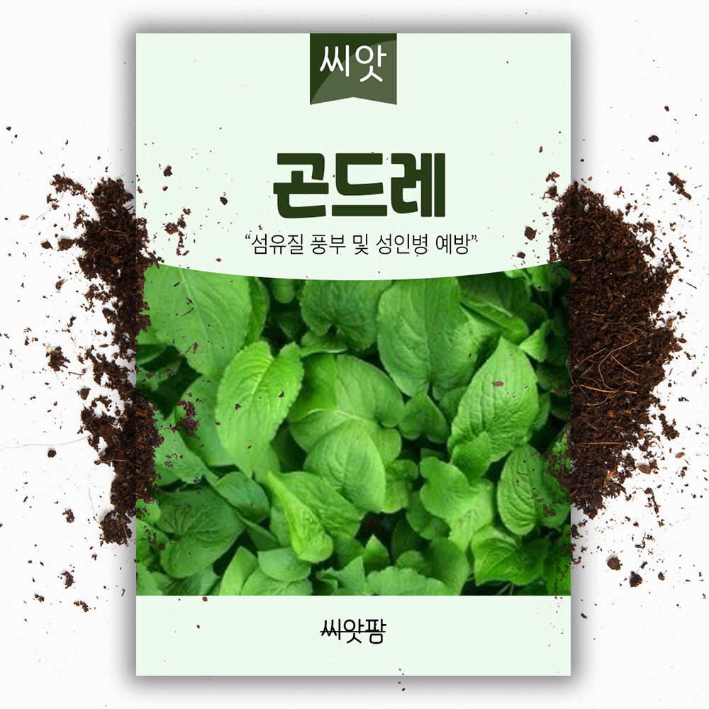 곤드레 씨앗 100립 국내채종 곤드레나물 종자 - 상품 이미지