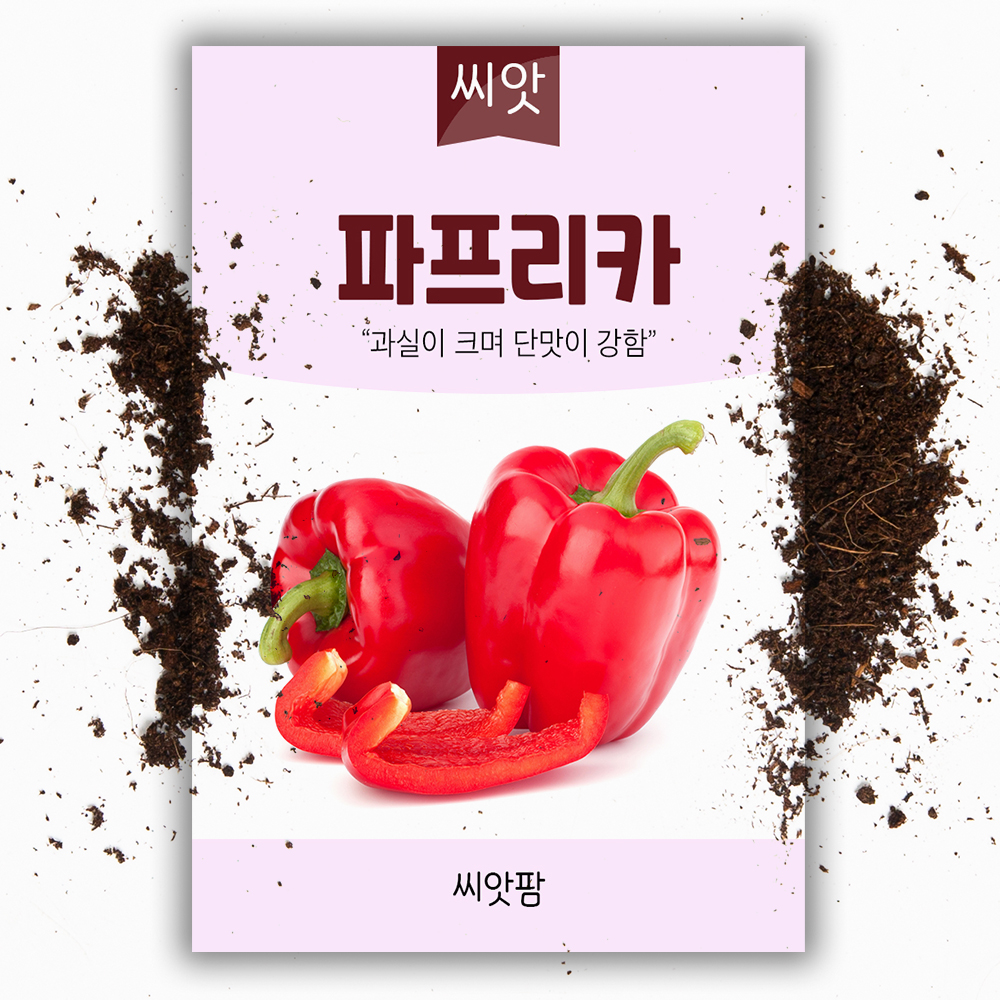 레드 파프리카 씨앗 10립 파프리카씨 종자 - 상품 이미지