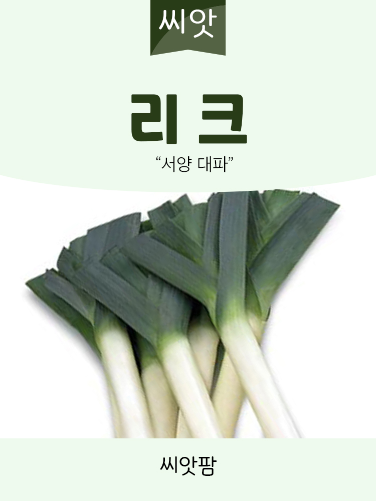 리크 LEEK 씨앗 10g 서양대파 리이크 씨앗 종자 - 상세 이미지 2