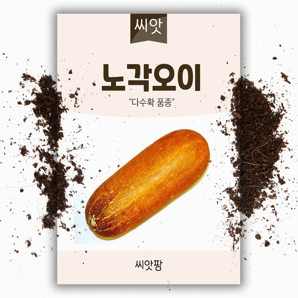 노각 오이씨앗 50립 채소씨앗 채소 종자 - 상품 이미지