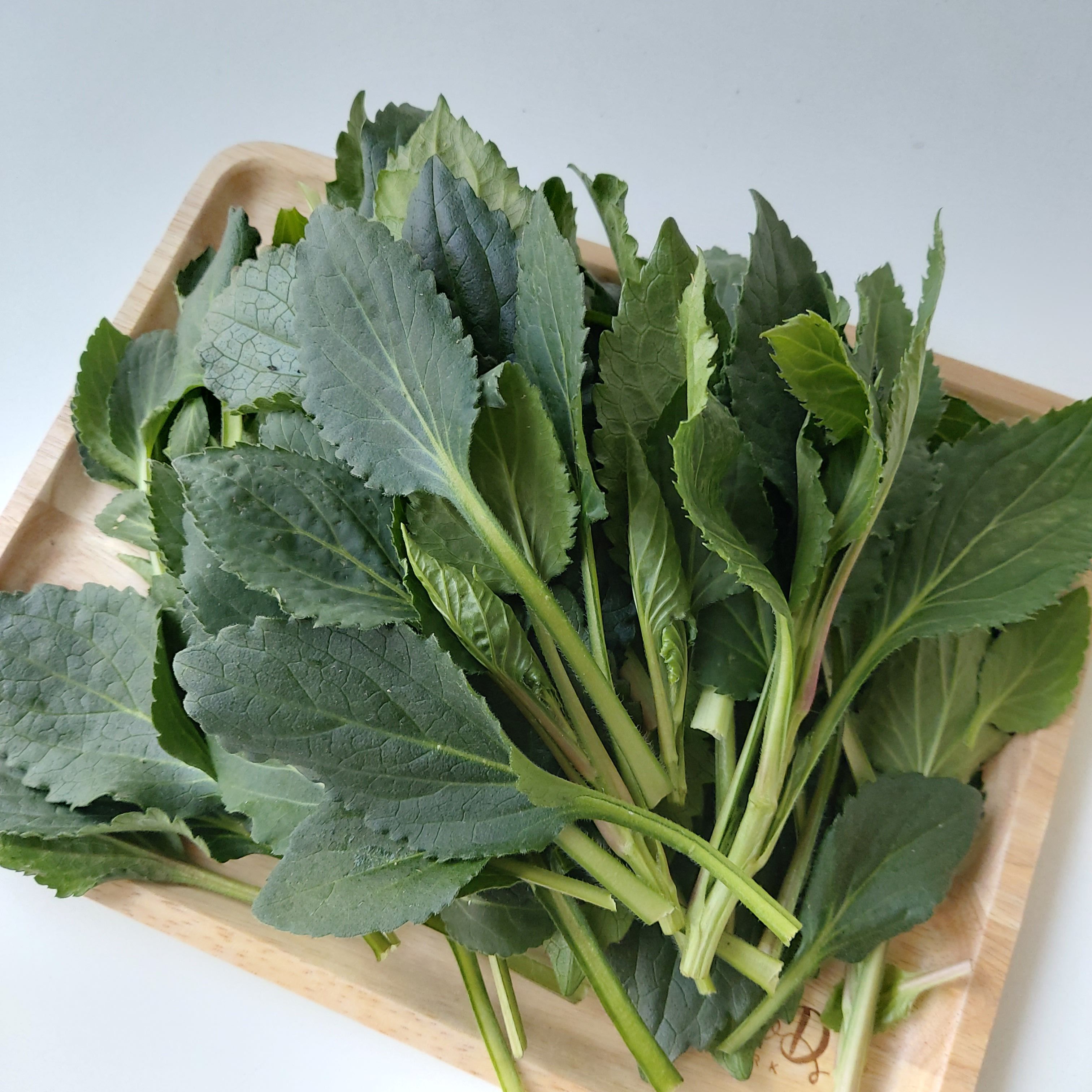 윗집아들네 울릉도 부지깽이 부지갱이 쑥부쟁이 나물 생 취나물 봄나물 3kg, 1개 - 상세 이미지 2