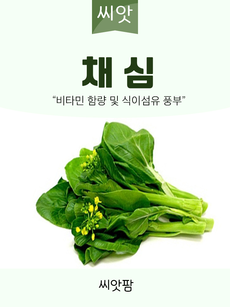 채심씨앗 5g  초이삼 동남아 이색 종자 - 상세 이미지 2