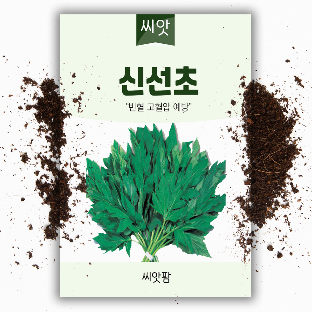 신선초 씨앗 100립 국내채종 신선초씨 종자 - 상품 이미지