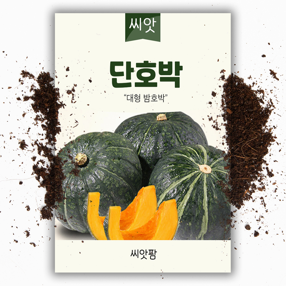 단호박씨앗 10립 대형 밤호박 종자 - 상품 이미지