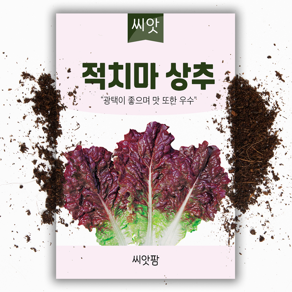 텃밭 적 상추씨앗 3000립 채소 씨 쌈채소 - 상품 이미지