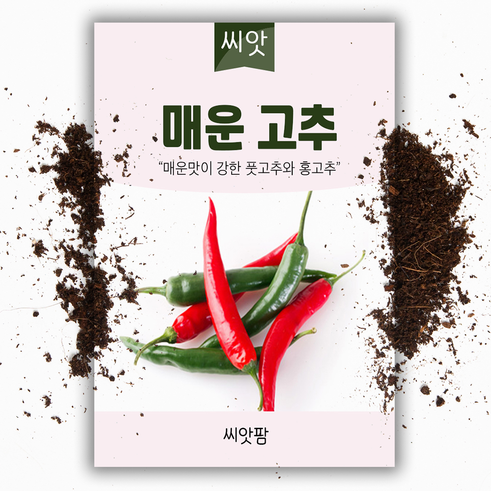 매운 고추씨앗 50립 청양고추 풋고추 홍고추 종자 - 상품 이미지
