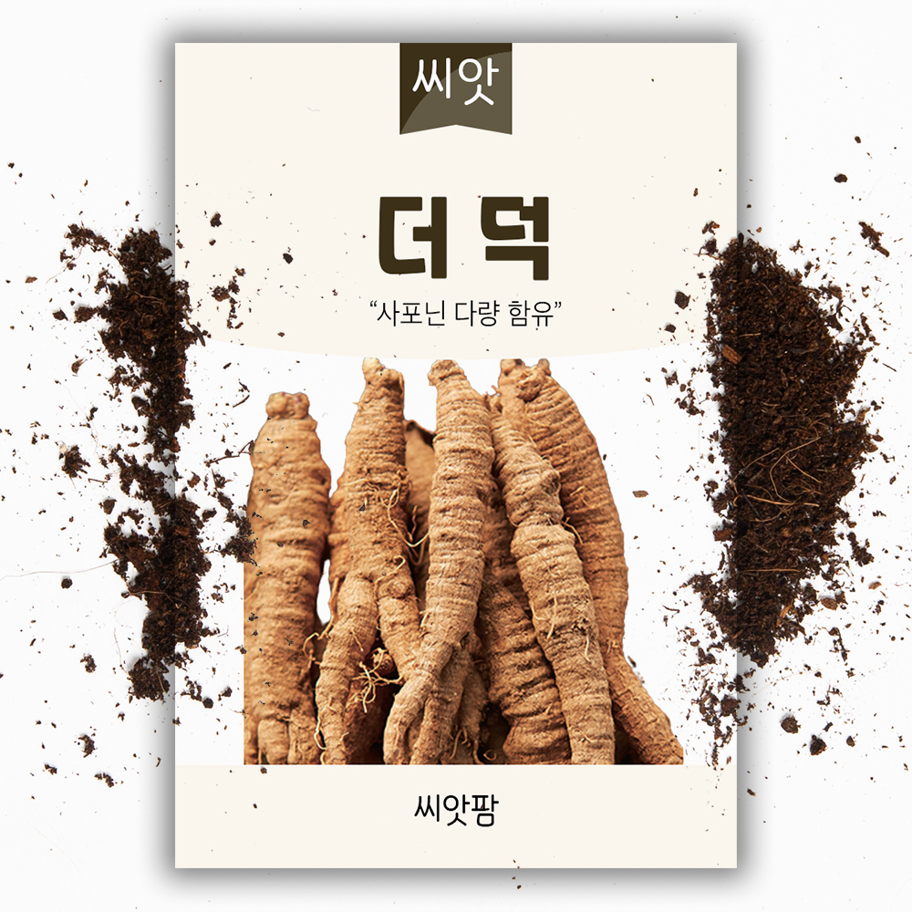더덕씨앗 3g 약용씨앗 종자 - 상품 이미지