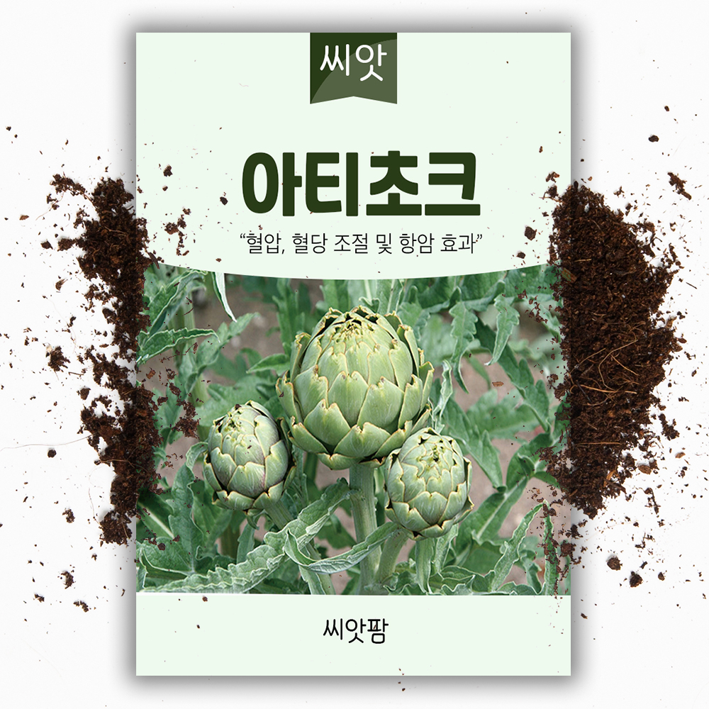 아티초크 씨앗 5g 아티쵸크 아티소 종자 - 상품 이미지