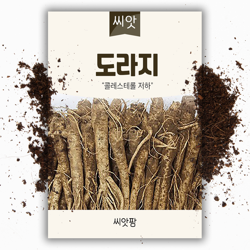 도라지씨앗 2000립 도라지 씨 종자