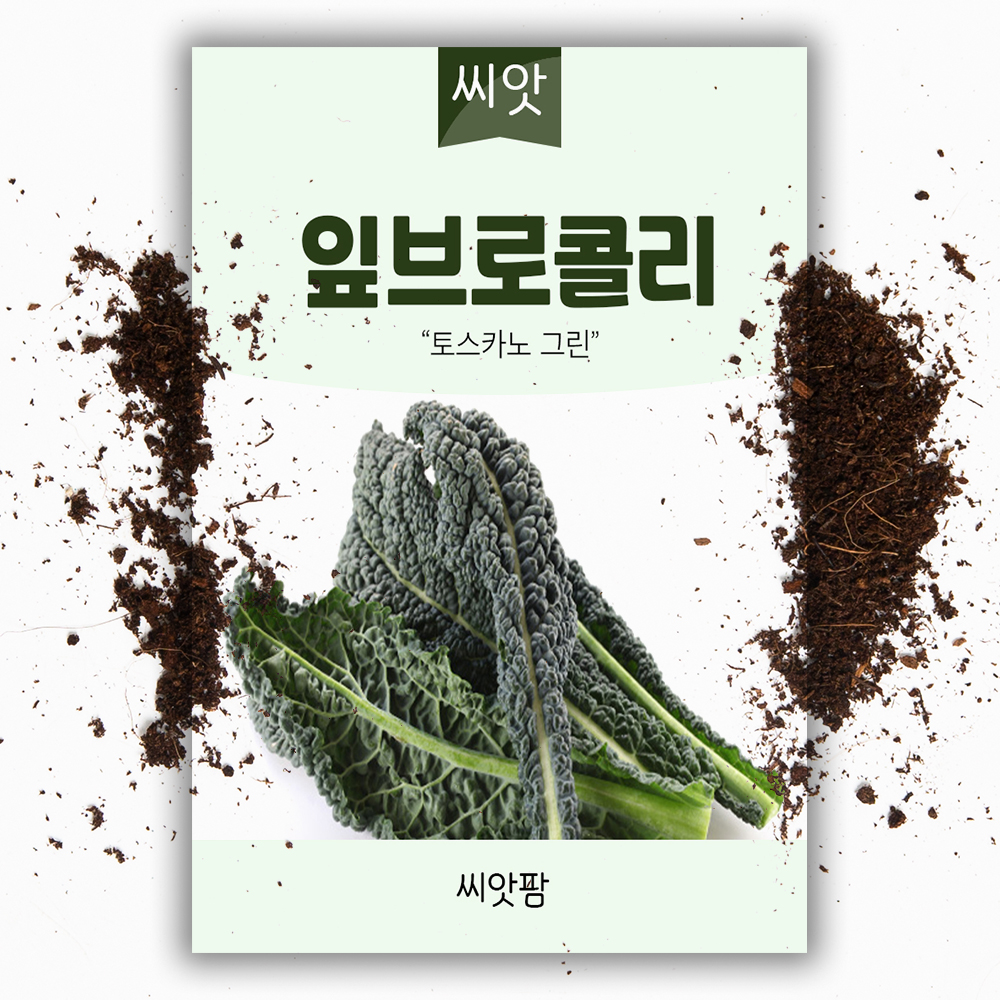 잎 브로콜리 씨앗 1000립 브로콜리씨 종자 - 상품 이미지