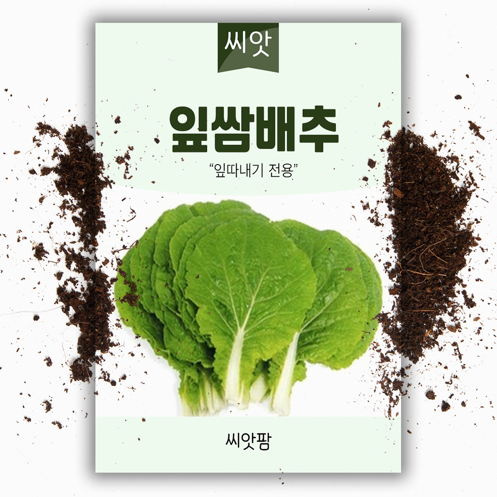 잎쌈 배추 씨앗 500립 쌈 배추 국내산 종자 씨 - 상품 이미지