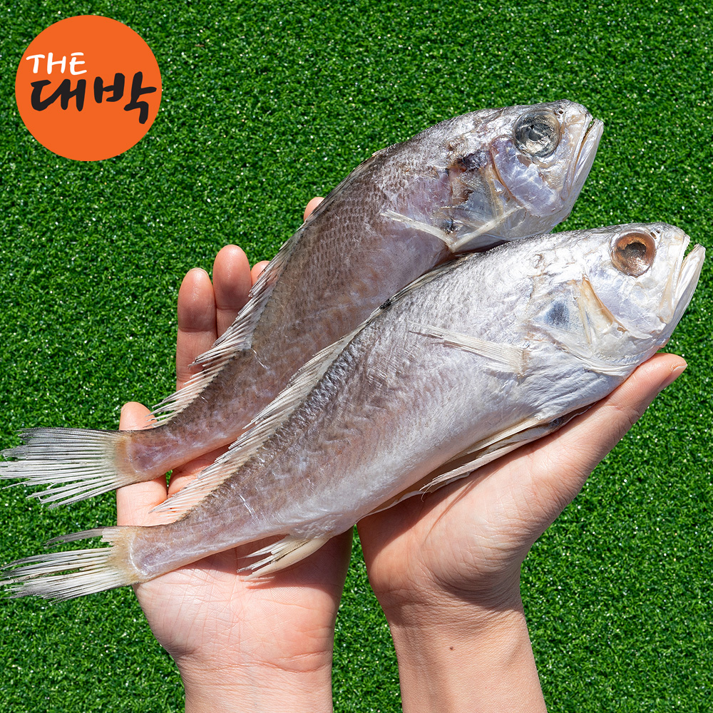 반건조 생선 제수용생선 침조기 긴가이석태 보리굴비 영광굴비 선물세트