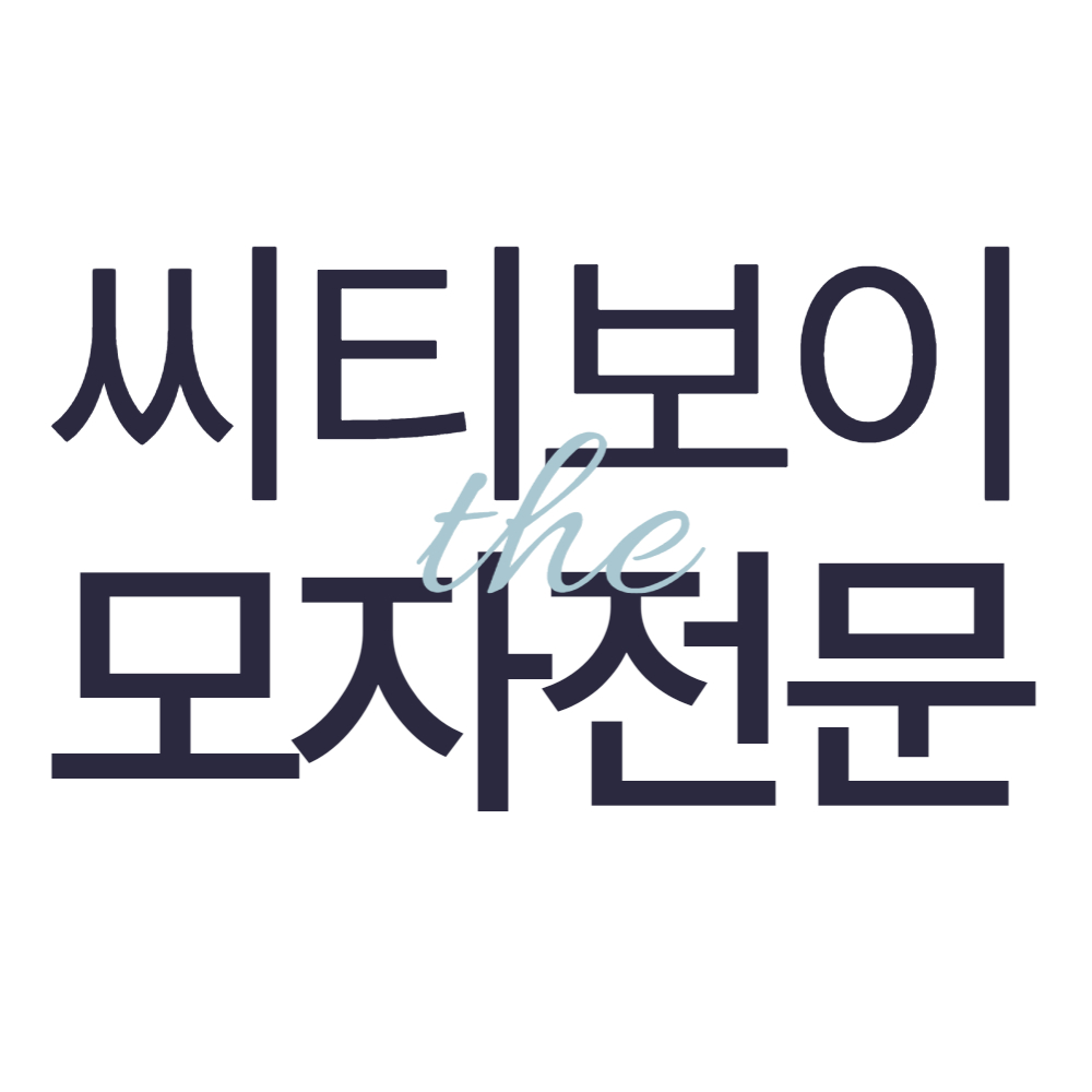 씨티보이 스토어 로고