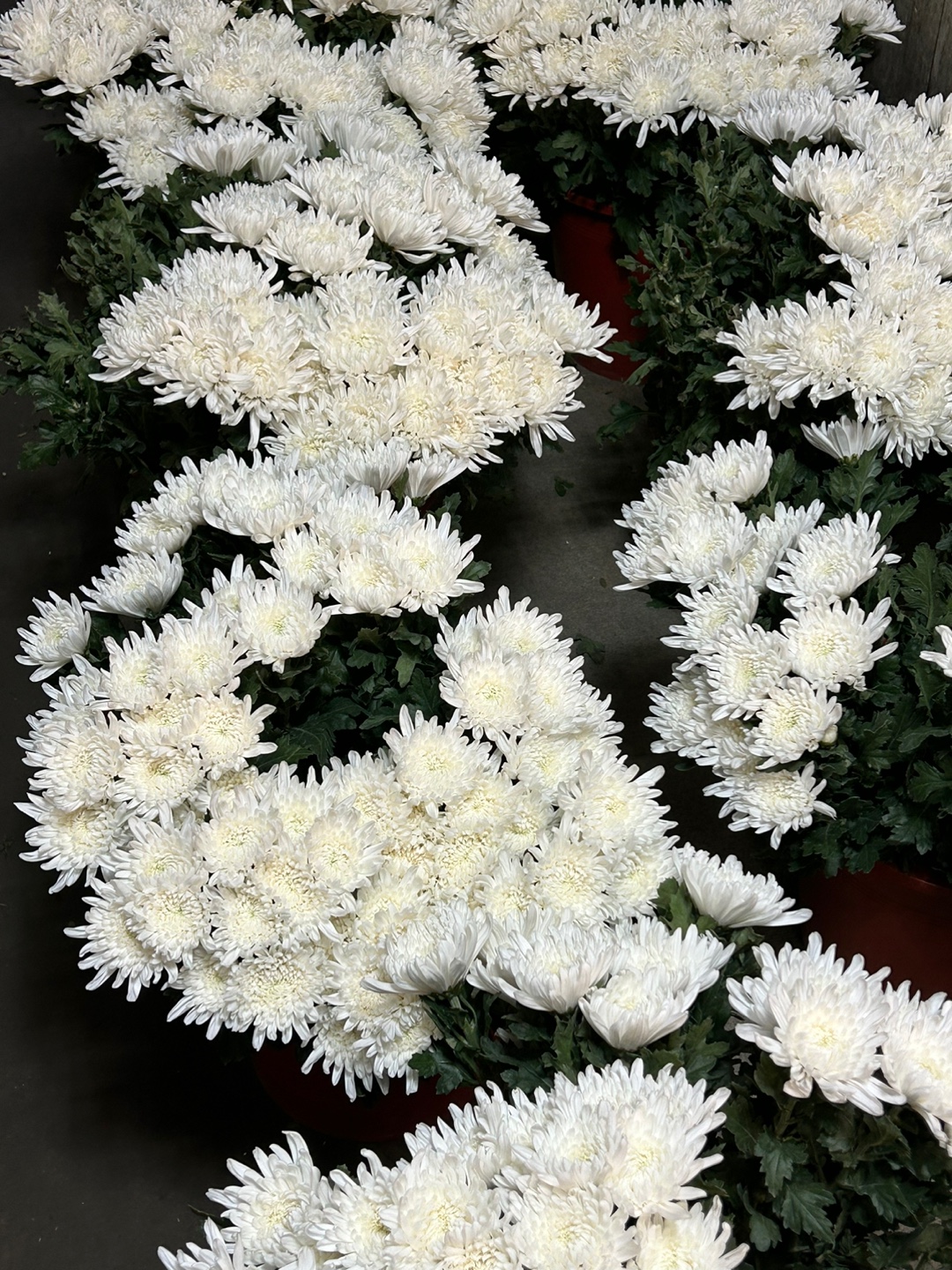 전국 근조바구니 고급 근조화환 장례 장례식 조의 부고 조문 경조 조화 당일 꽃배달서비스