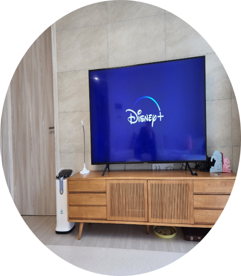 국산 가정용 산소발생기 휴대용 세이프비 최대 90오투 30 강아지 공용 고압산소치료기 아님