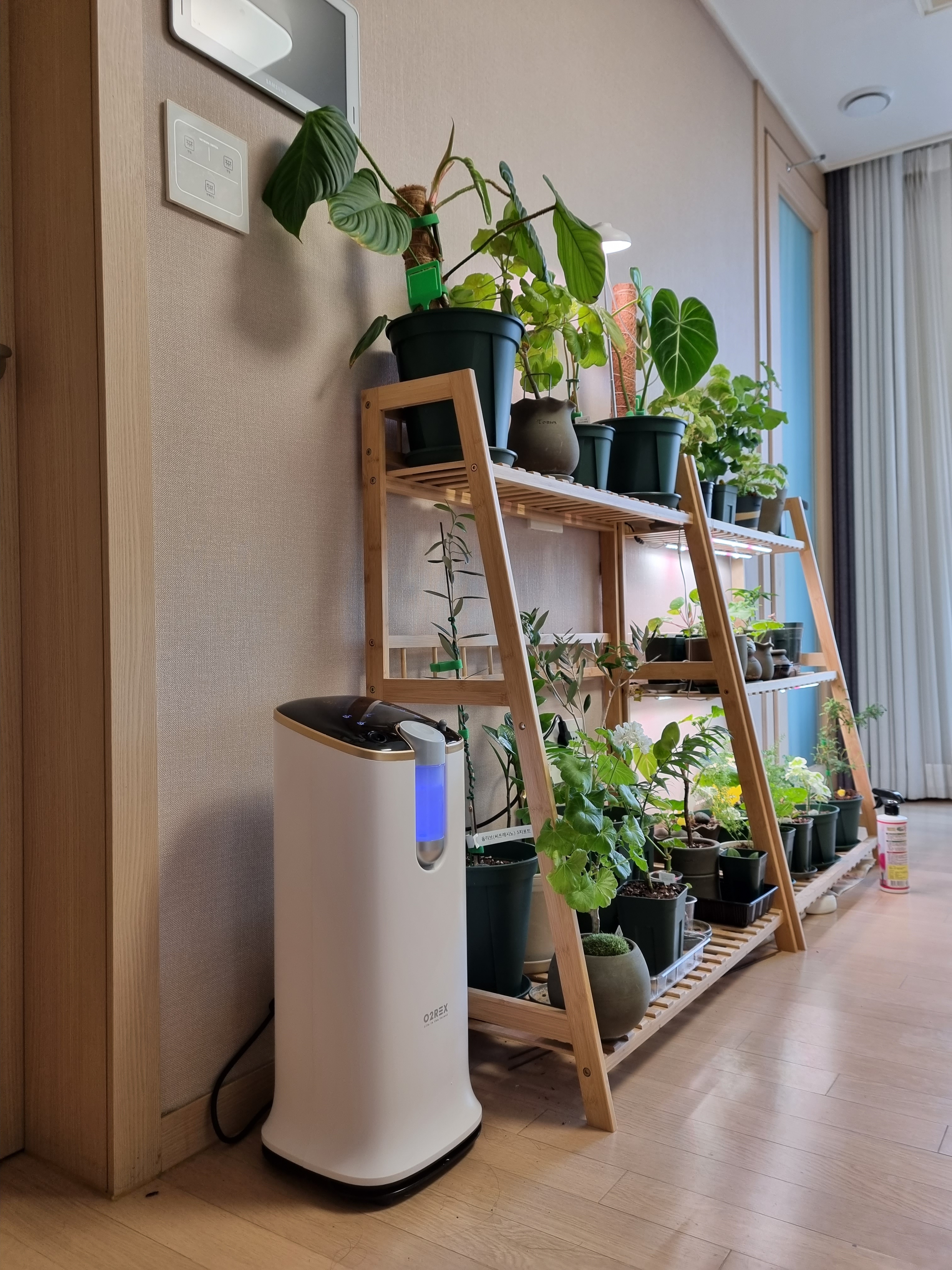 국산 가정용 산소발생기 휴대용 세이프비 최대 90오투 30 강아지 공용 고압산소치료기 아님