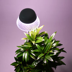 노바리빙 LED 식물등 광합성 생장 식물조명 성장 제라늄 로즈마리 엔젤 솔직 후기 | 실제 배치 사진 포함 - 상품 이미지 4