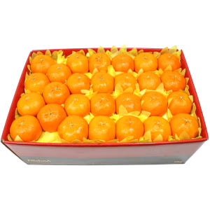 제주도 레드향 가정용 선물세트 3kg 5kg 10kg 맛있게 먹은 솔직 후기 - 상품 이미지 4