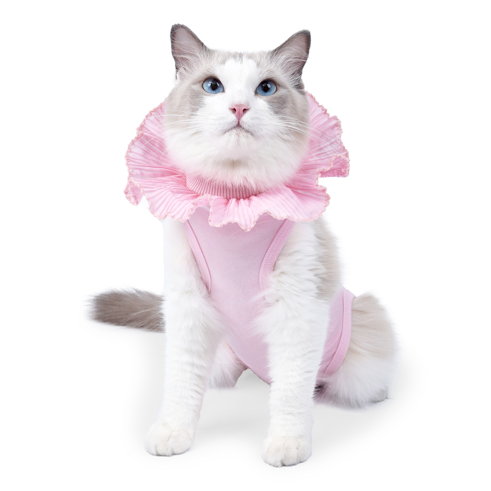 강아지 고양이 파스텔 프릴 중성화 수술복 중성화복 (3colors) - 상품 이미지