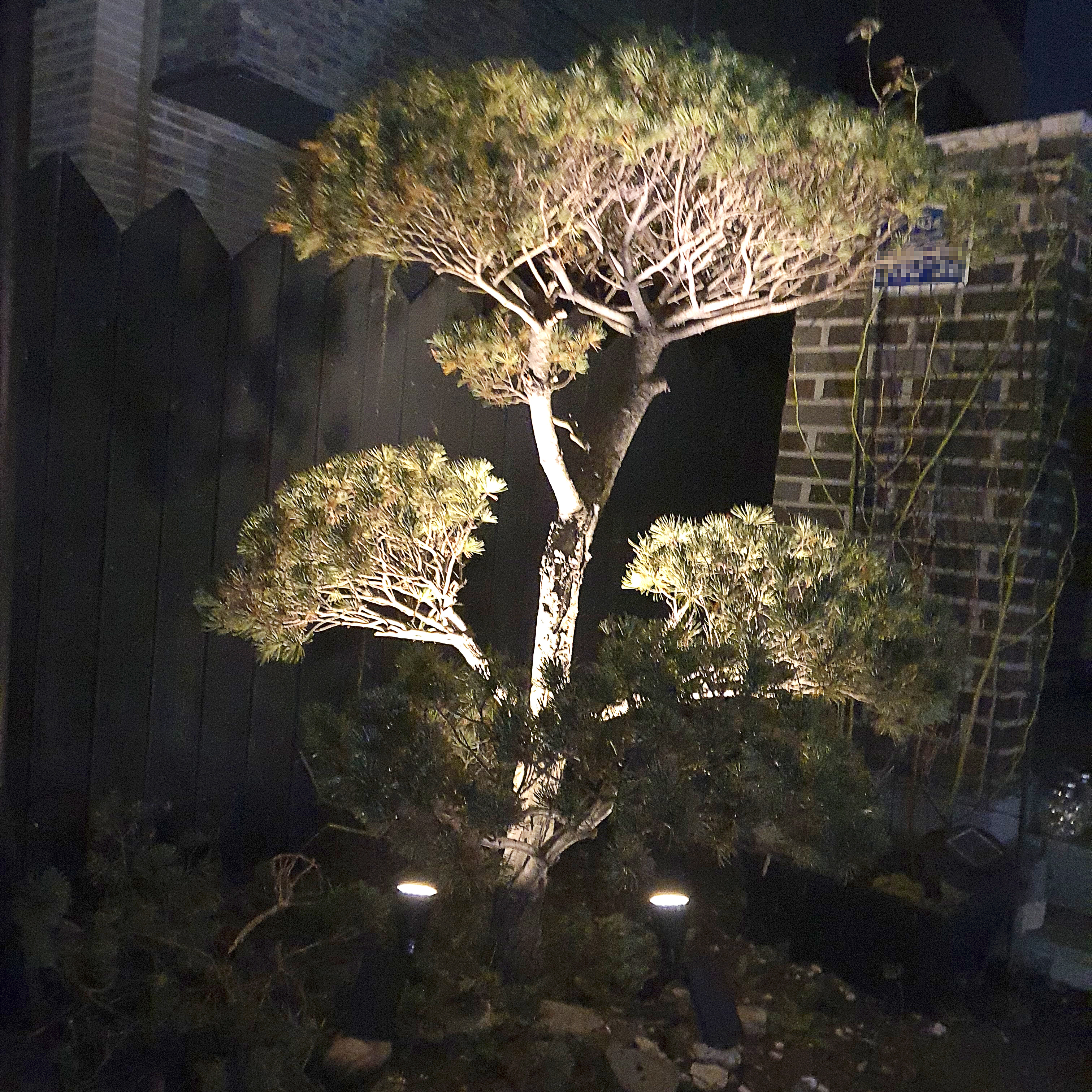 태양광 수목투사등 태양열 정원 나무 수목 잔디 LED 조경등 경관 조명 조명등 18구 - 상세 이미지 3