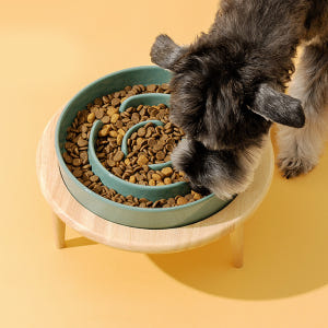 강아지 밥그릇 고양이 밥그릇 슬로우 식기 급체 방지 1구 S 솔직 후기 | 실제 사용자 리뷰 총정리 - 상품 이미지 3