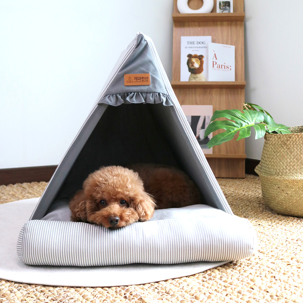 개과천선 강아지 애견 밀리 하우스 텐트 고양이 집 내부쿠션 포함