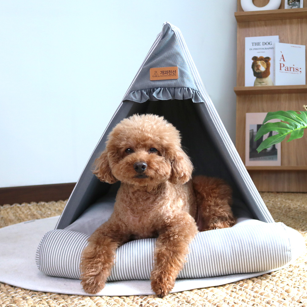 개과천선 강아지 애견 밀리 하우스 텐트 고양이 집 내부쿠션 포함 - 상세 이미지 2
