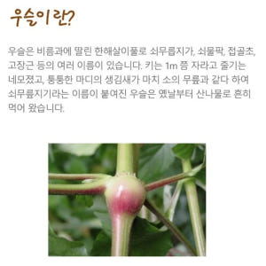 2+2 우슬닭발환 복합물 쇠무릎 안토시아닌 대용량 4통 맛있게 먹은 솔직 후기 - 상품 이미지 2