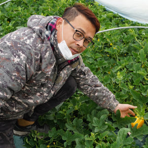 성주 꿀 참외 10kg 당일수확 산지직송 참외 가정용 맛있게 먹은 솔직 후기 - 상품 이미지 4