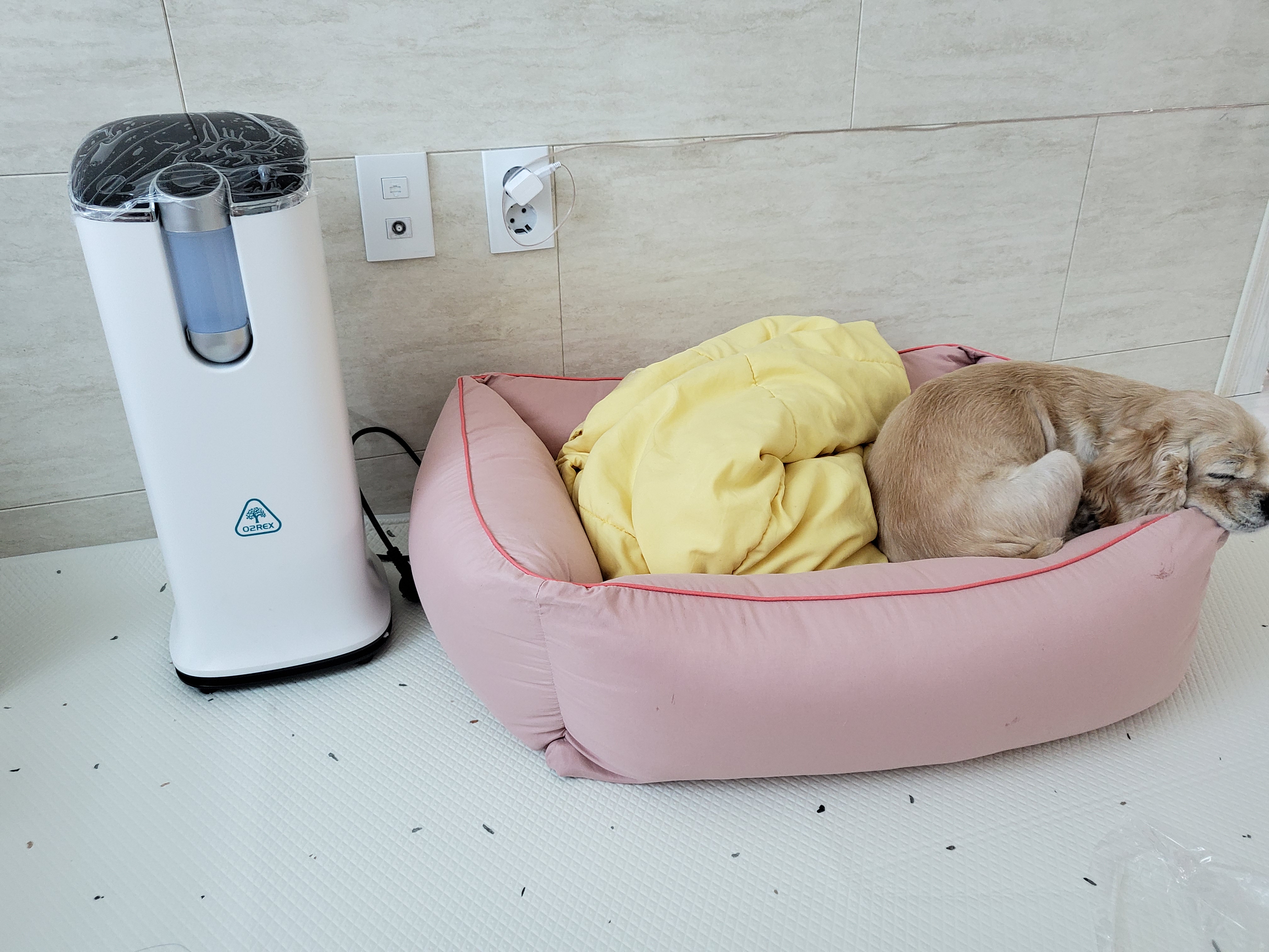 [월3만] 가정용 산소발생기 휴대용 세이프비 O2REX-F50 엔에프 오투렉스