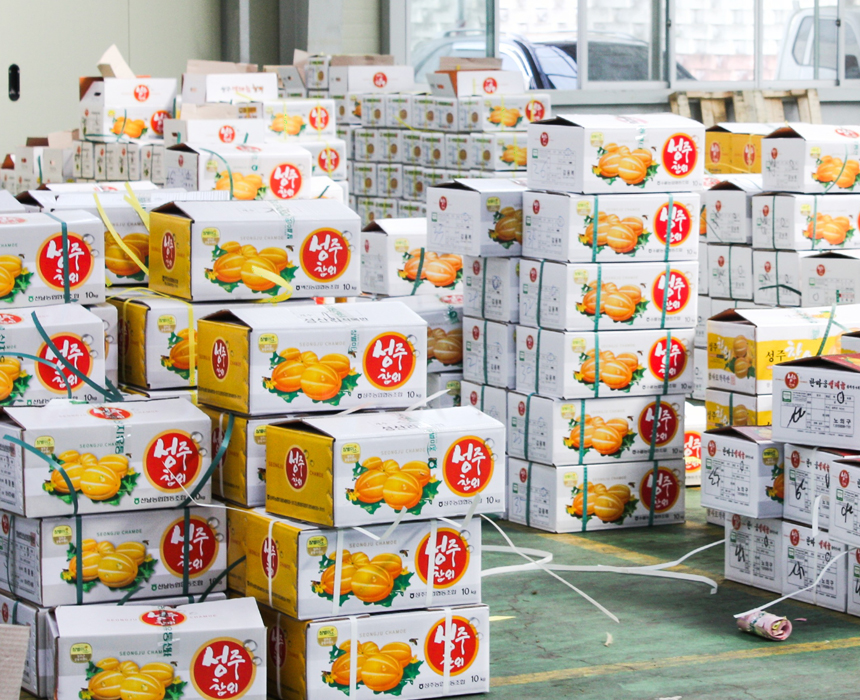 성주 꿀 참외 10kg 당일수확 산지직송 참외 가정용 이미지 3
