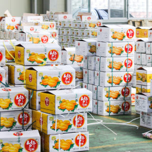 성주 꿀 참외 10kg 당일수확 산지직송 참외 가정용 맛있게 먹은 솔직 후기 - 상품 이미지 3