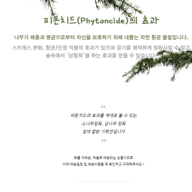 접이식 침대 프레임 슈퍼싱글 하단 매트리스 받침 낮은 저상 침대 파운데이션 침대틀