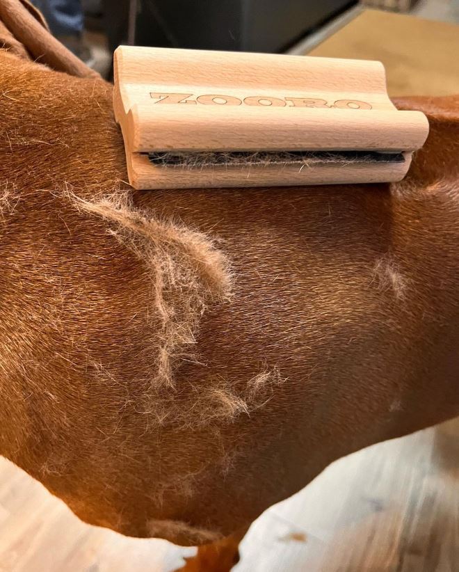 주로빗 노멀 강아지 고양이 단모 죽은털 제거 브러쉬