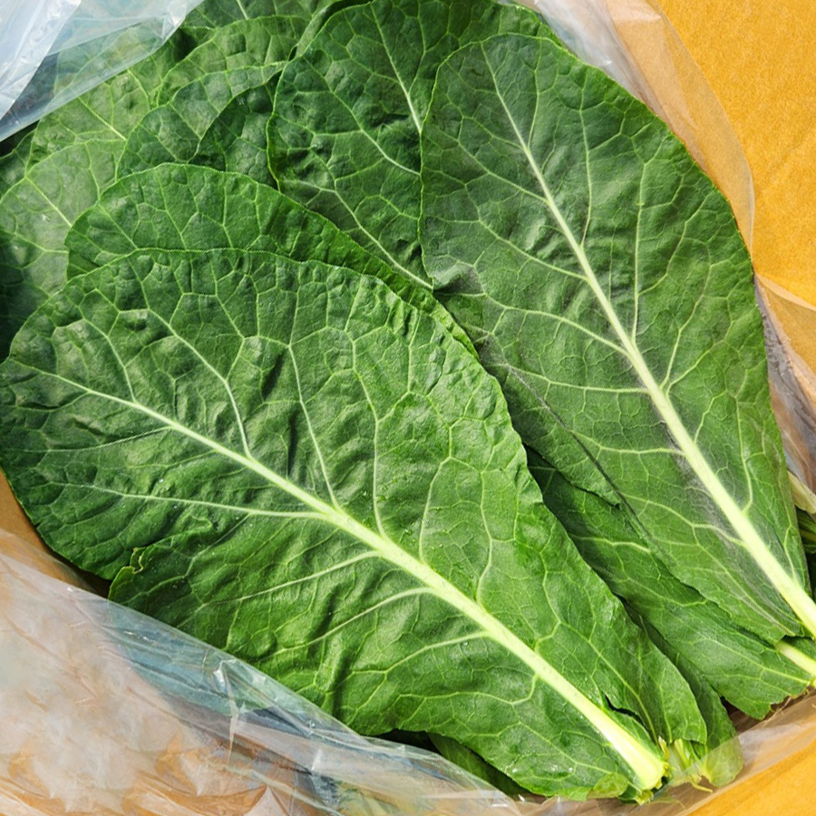 친환경 유기농 케일 신선초 1kg 녹즙용 녹즙재료 - 상세 이미지 2