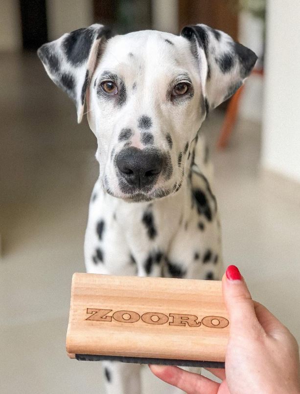 주로빗 노멀 강아지 고양이 단모 죽은털 제거 브러쉬