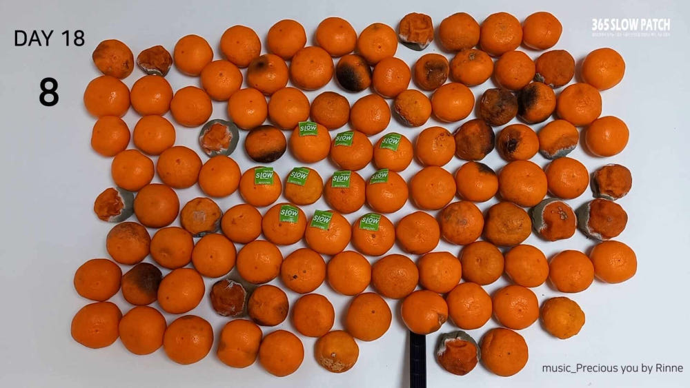 컬쳐엔 슬로우패치