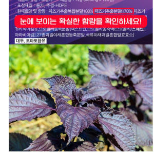 차즈기 복합 추출정 2개월분 60정 차조기추출물 맛있게 먹은 솔직 후기 - 상품 이미지 2