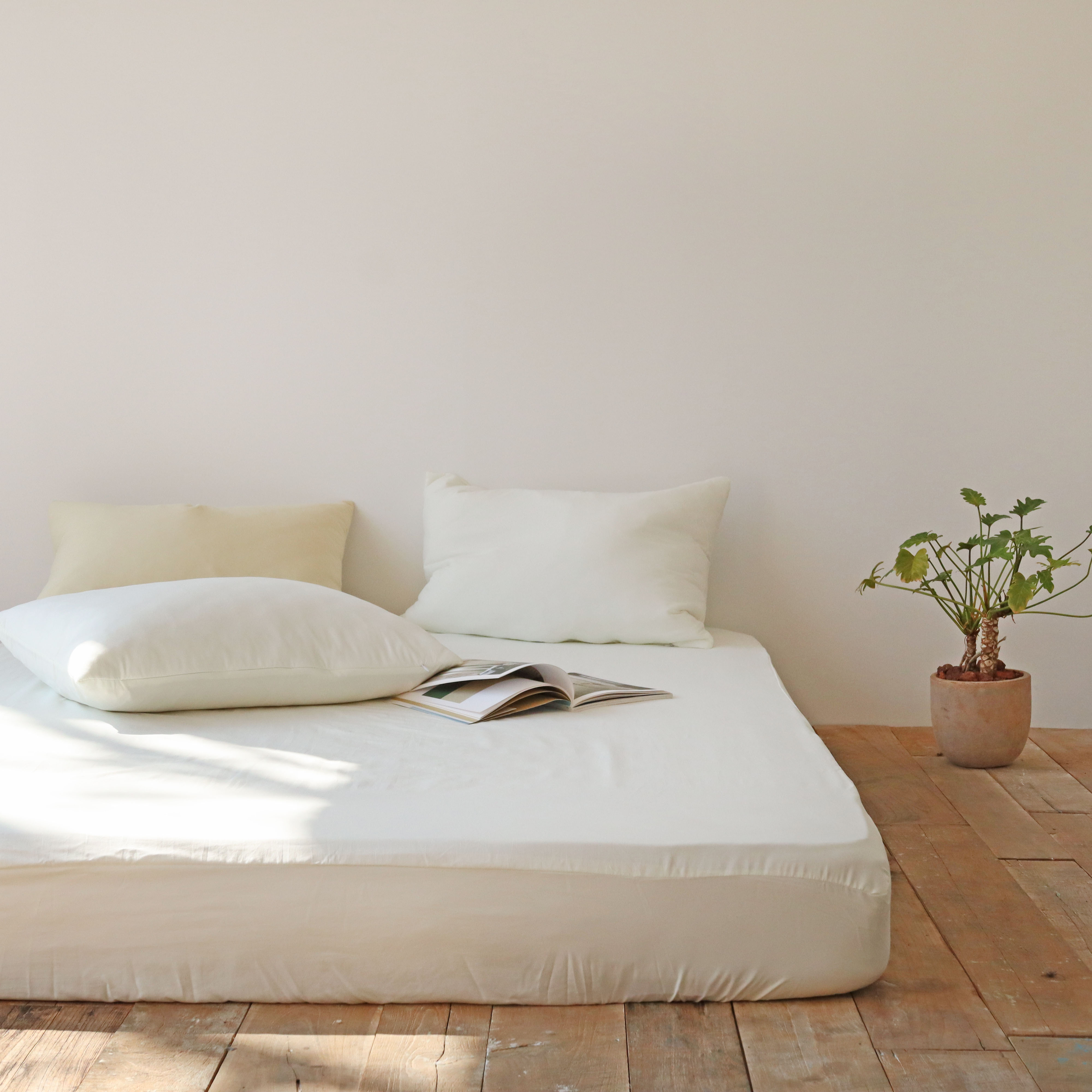 부드러운 모찌 피치스킨 홑겹 매트리스 침대 커버 슈퍼싱글 SS