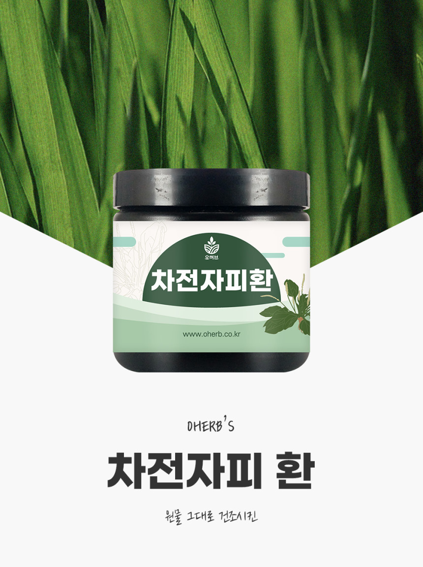 차전자피환 110g 질경이씨앗껍질환 차전차피 - 상세 이미지 3