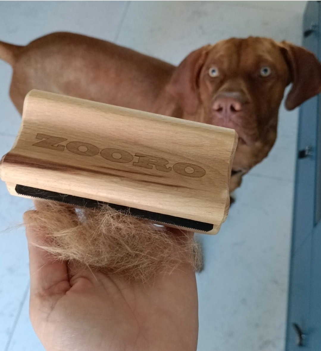 주로빗 노멀 강아지 고양이 단모 죽은털 제거 브러쉬