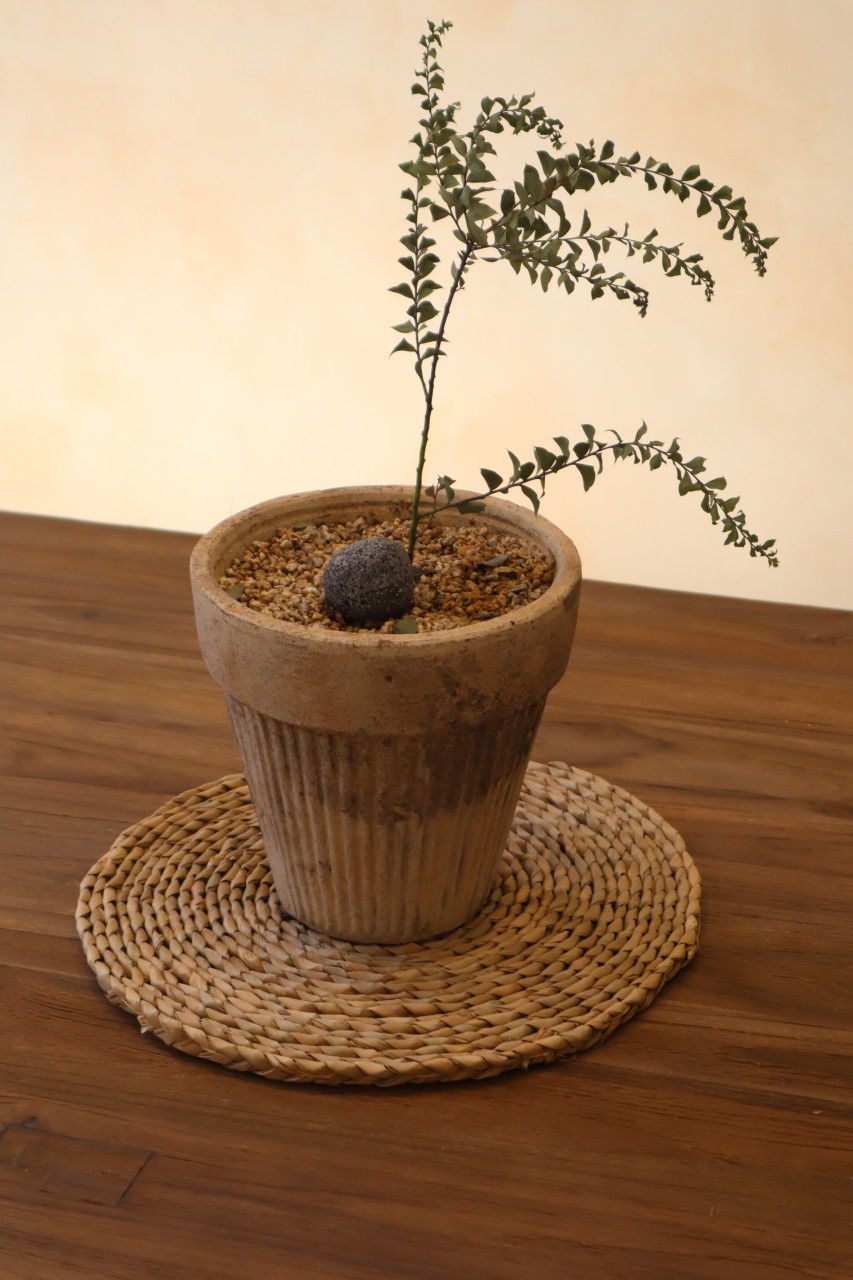 라탄 테이블매트 원형 식탁 매트 에어프라이기 받침대