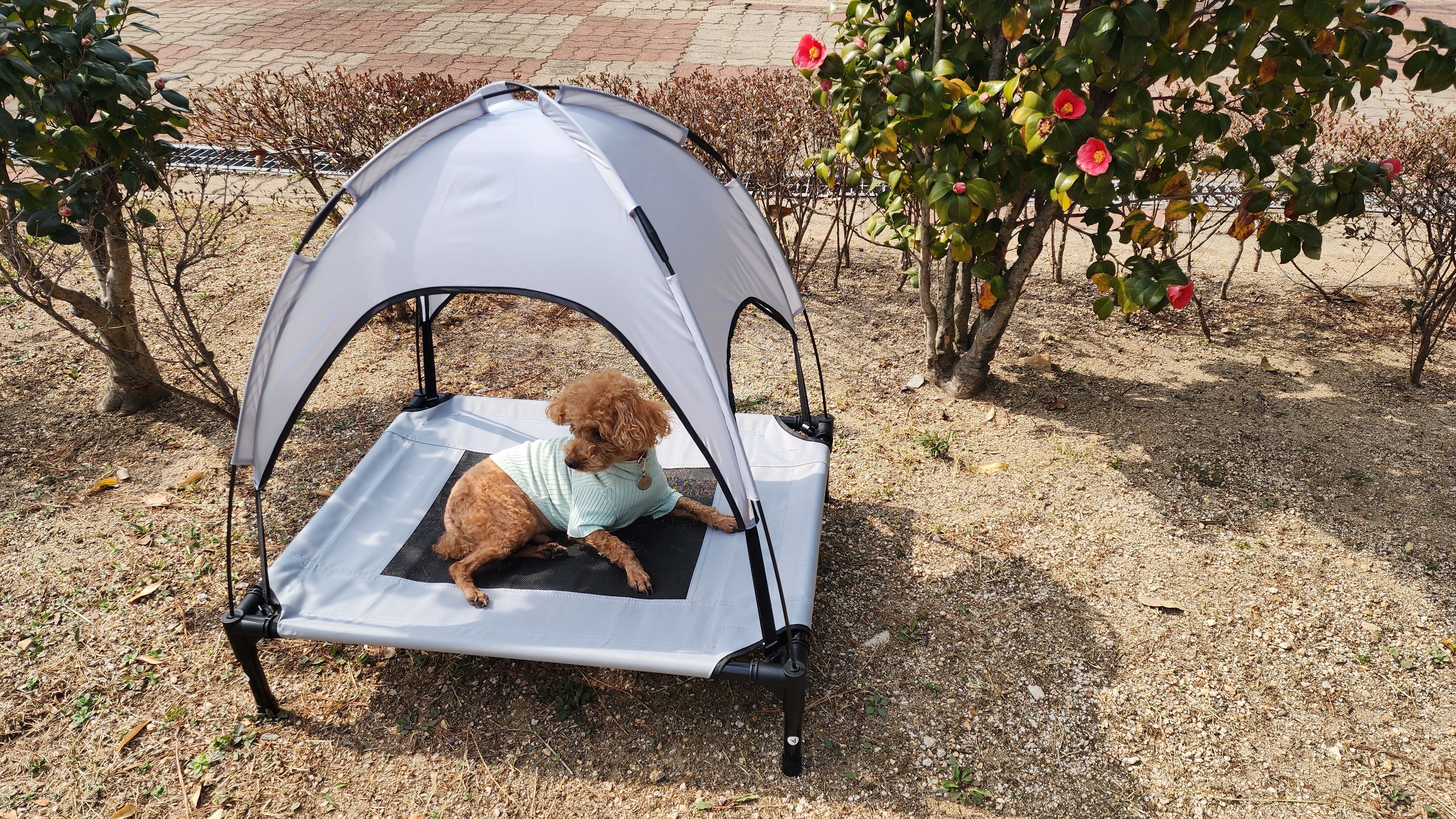 강아지 해먹 침대 대형견 접이식 캠핑 쇼파 의자 S