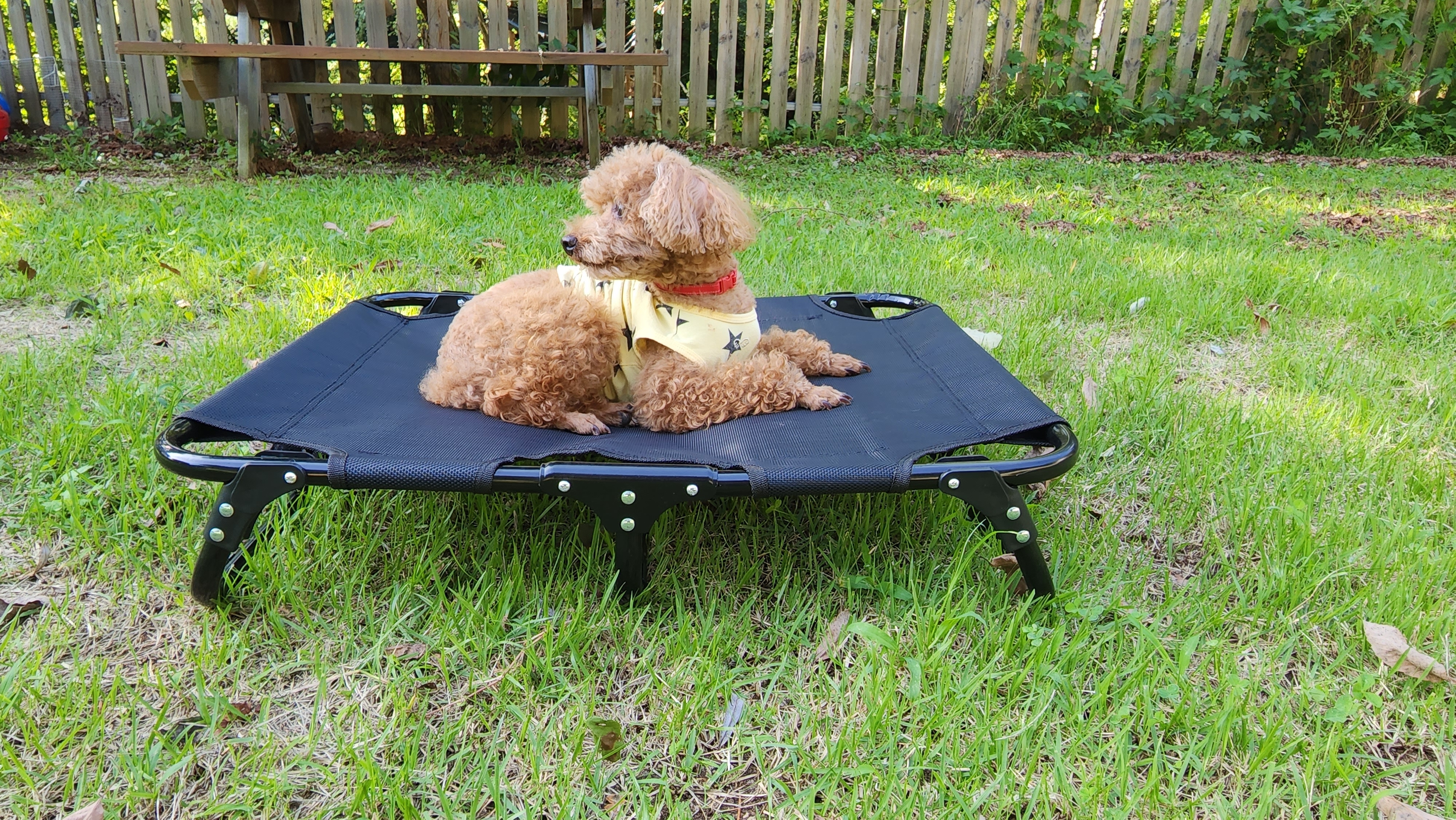 강아지 해먹 침대 대형견 접이식 캠핑 쇼파 의자 S