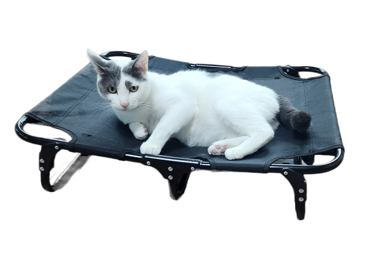 강아지 해먹 침대 대형견 접이식 캠핑 쇼파 의자 S