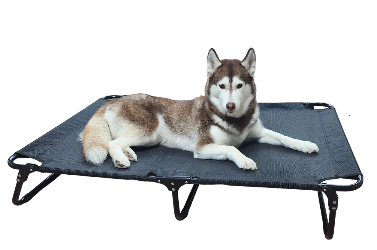 강아지 해먹 침대 대형견 접이식 캠핑 쇼파 의자 S
