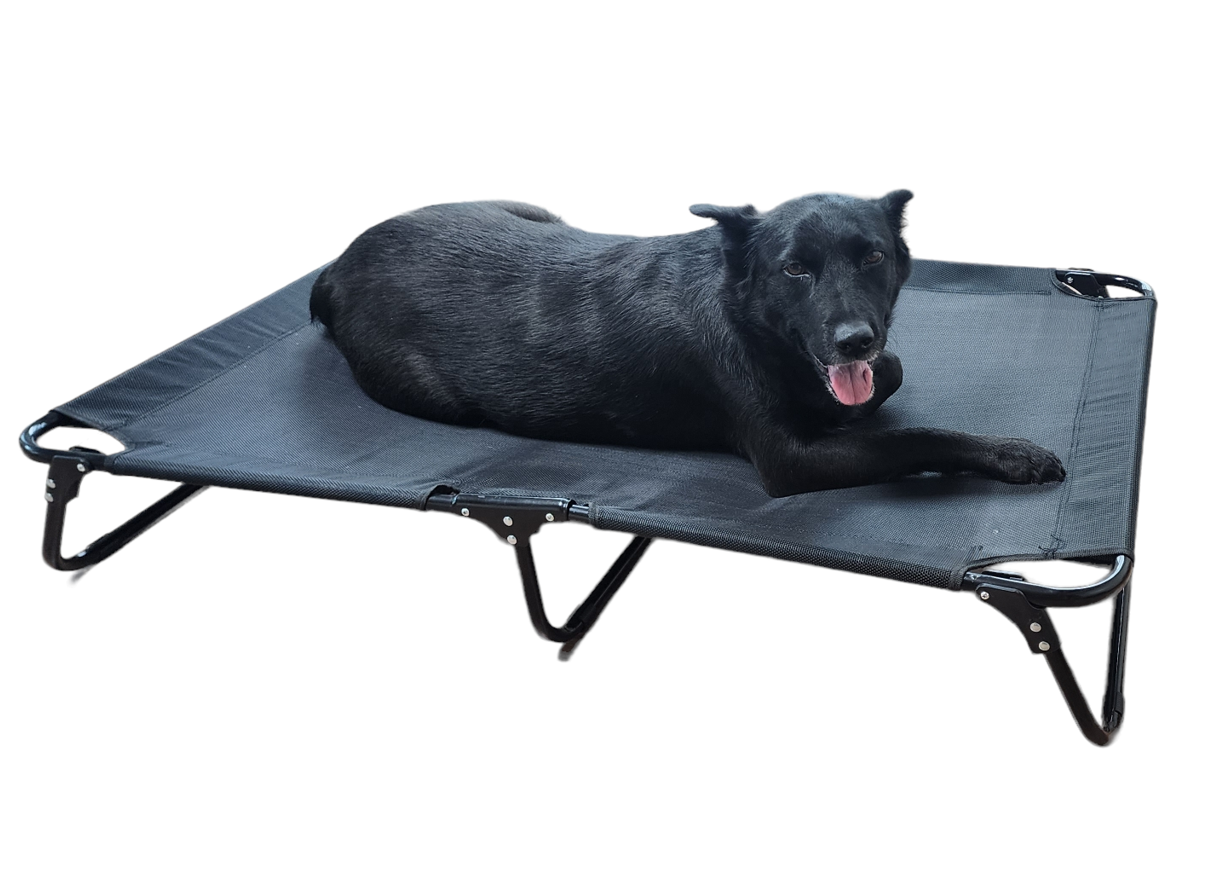 강아지 해먹 침대 대형견 접이식 캠핑 쇼파 의자 S