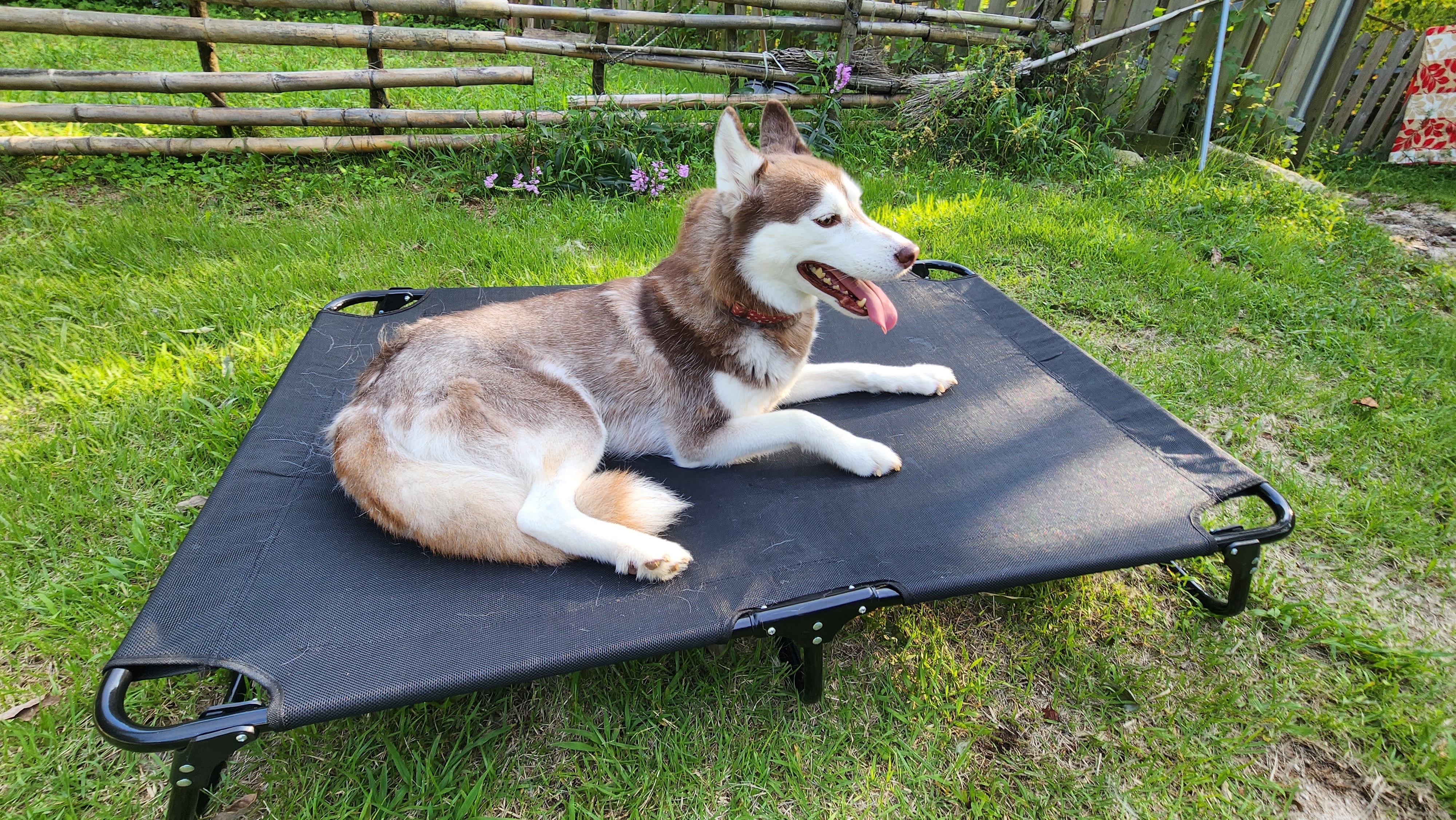 강아지 해먹 침대 대형견 접이식 캠핑 쇼파 의자 S