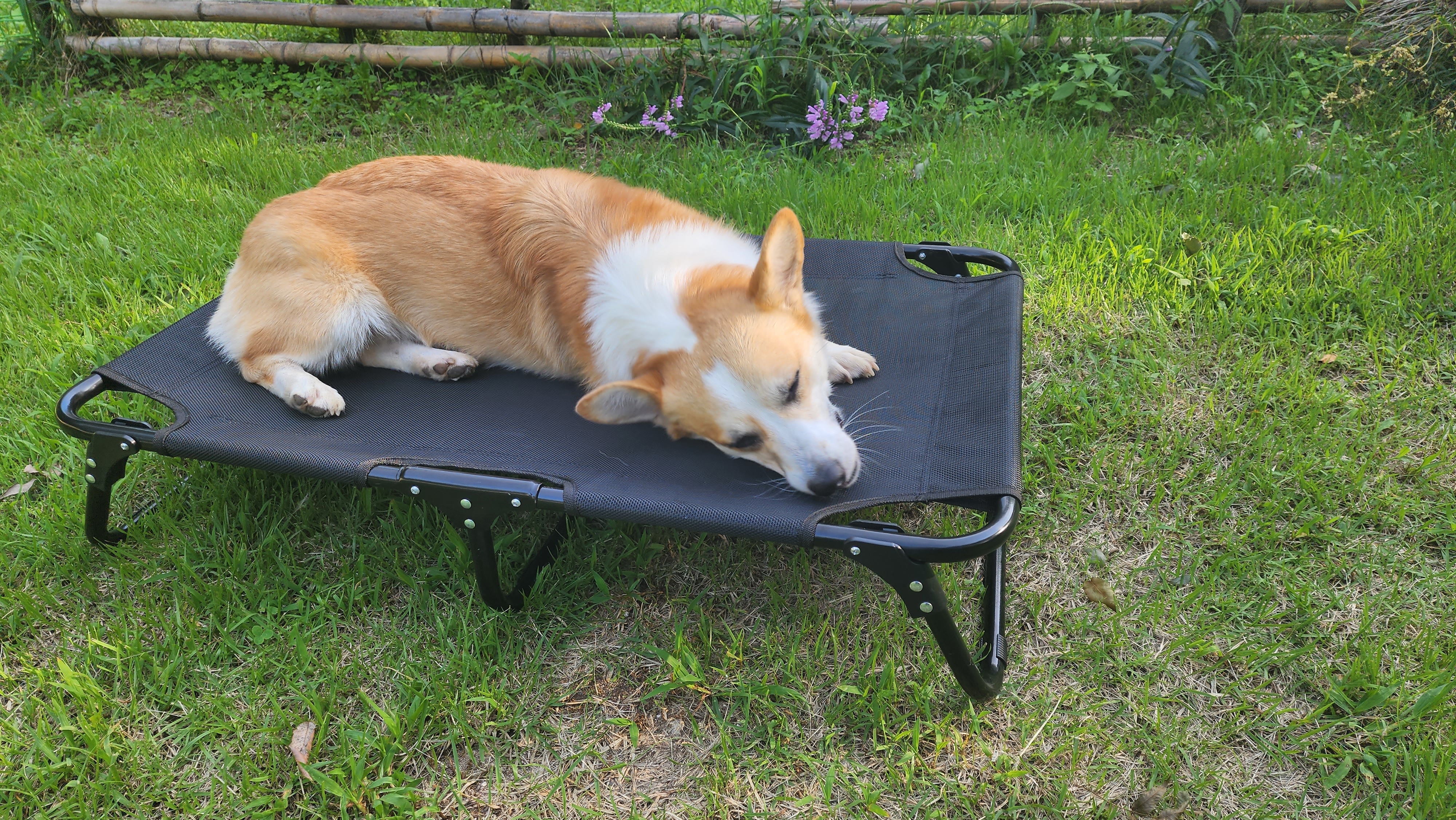 강아지 해먹 침대 대형견 접이식 캠핑 쇼파 의자 S