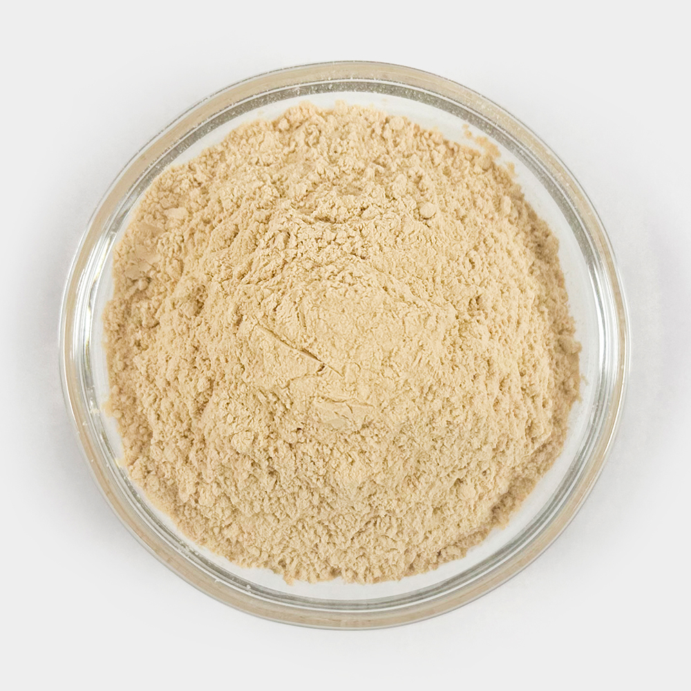 국산 마늘가루 마늘분말 40g 마늘100% - 상세 이미지 3